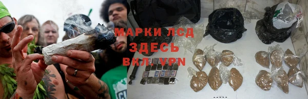 эйфоретик Алексеевка