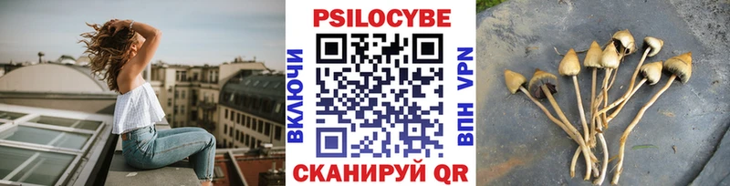 Псилоцибиновые грибы прущие грибы  omg tor  Курск 