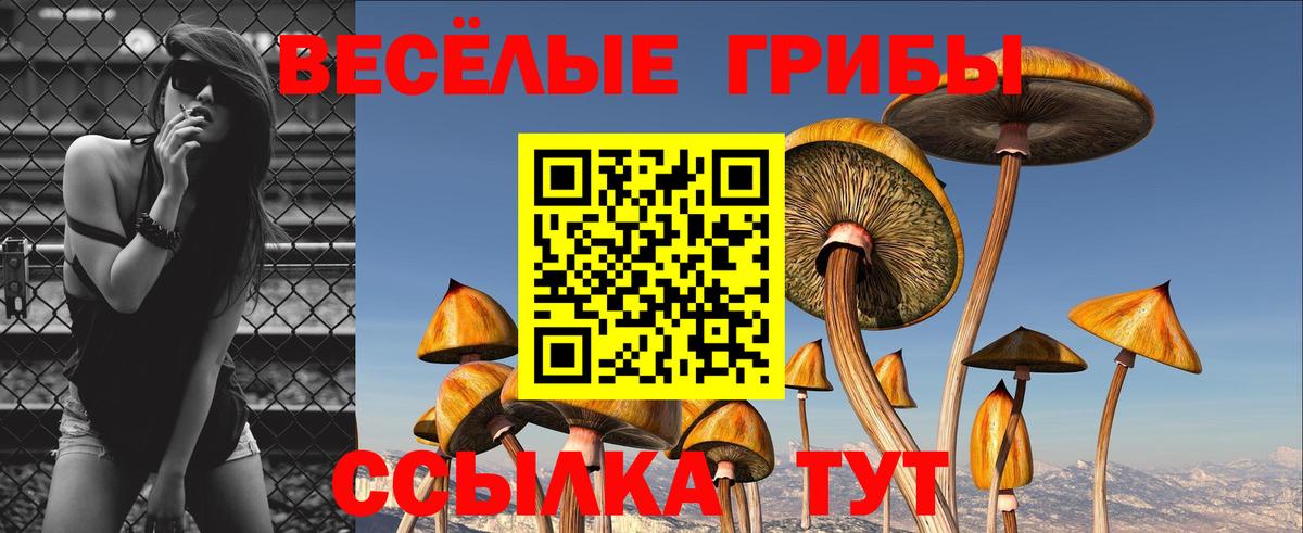 Курск  Галлюциногенные грибы мицелий  Вход с VPN 
