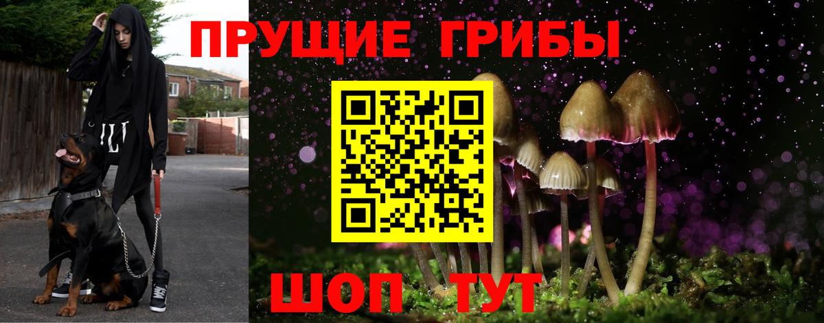 Псилоцибиновые грибы ЛСД Курск